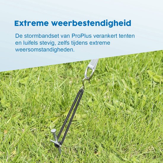 ProPlus Stormbandset - 2 x 2.90 m - Spanelastiek - Universeel - Stormlijnset - Extra Stevigheid - Stormkit - Inclusief Tentharingen, Spanbanden en Koorden - Geschikt voor Caravan- en Camperluifels - Grijs van ProPlus — afbeelding 3