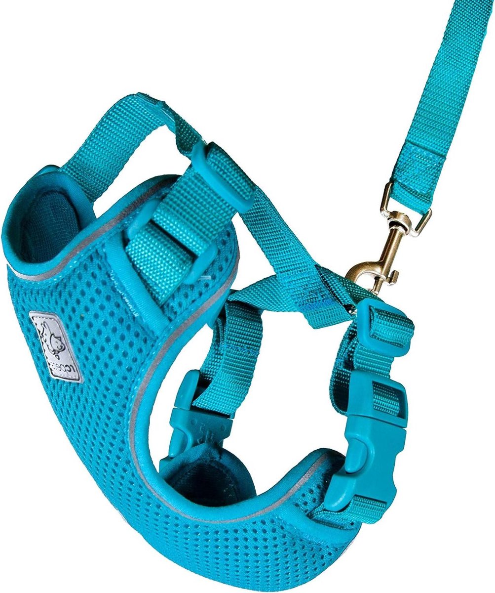 Adventure Kitty harnas – wandelharnas kat – medium – groenblauw – RC Pet Products