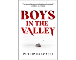 Omslag van Boys in the Valley