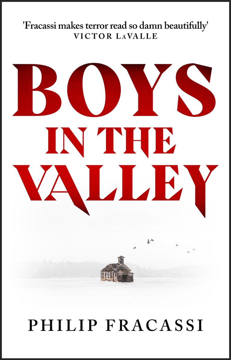 Omslag van Boys in the Valley