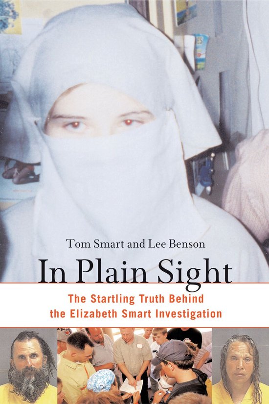 In Plain Sight - cover