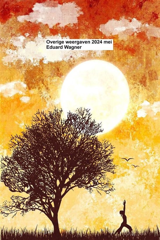 Overige weergaven 2024 mei - cover