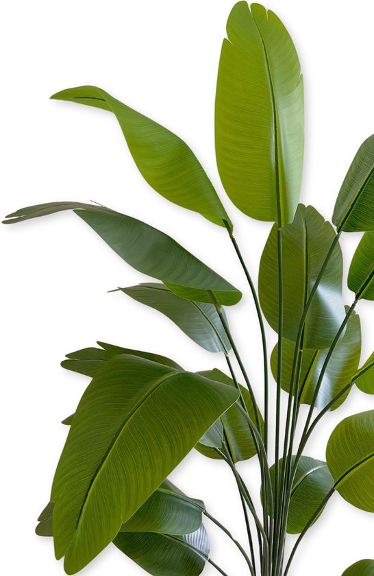 Grote, groene kunst-bananenbladeren met duidelijke nerven, vanuit een schuin oogpunt.