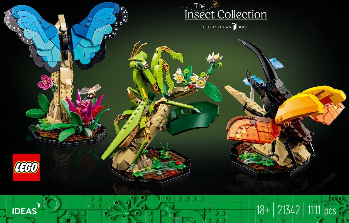LEGO Ideas De Insectencollectie - 21342 — afbeelding 9