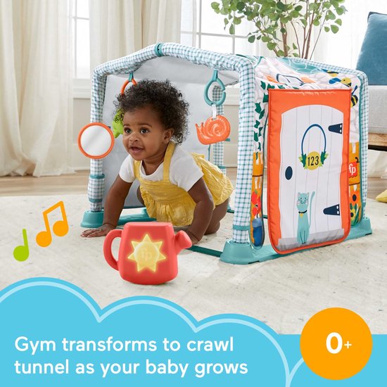 Fisher-Price 3-in-1 Trappel en Schommel Activiteitenmat