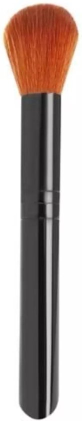 Set de 12 Pinceaux de maquillage professionnels - Set de pinceaux avec étui de rangement - Zwart