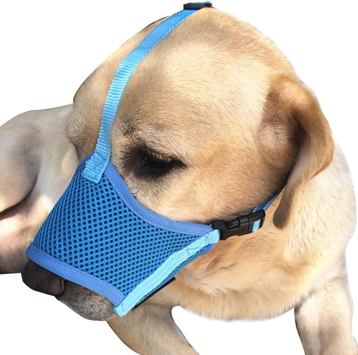 Verstelbare ademende muilkorf van zacht net voor honden, veilig bij wandelen en training, voorkomt bijten en biedt comfort