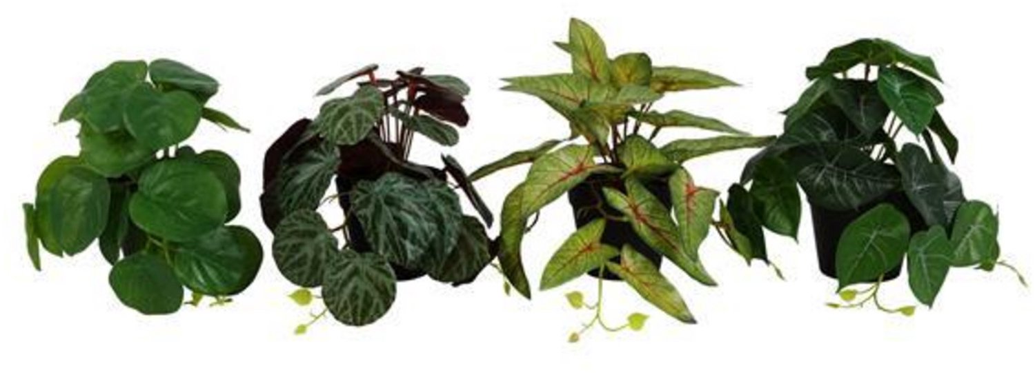 Countryfield kunstplant hangend decoratie nepplant 20cm groen.