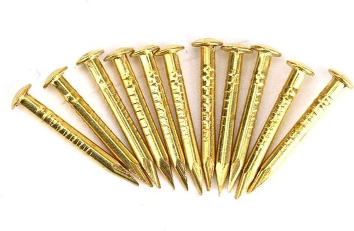 Muur pinnen van messing, 100 stuks ronde kop nagels voor meubels en houtwerk - 15 mm lengte