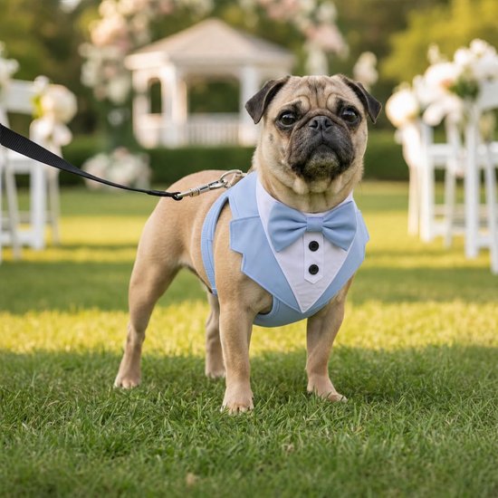 Harnas Tuxedo Stijl met Strikje - Trouwkleding voor Honden, Step-in Borsttuigje, Verstelbaar, Zacht Gevoerd voor Puppies en Kleine tot Middelgrote Honden (Lichtblauw, M) — afbeelding 5