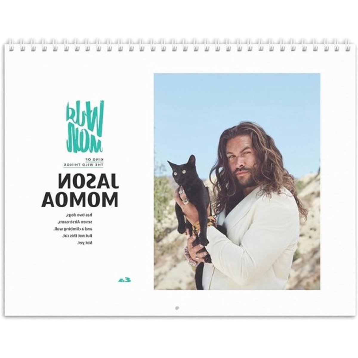 Wandkalender - Muurkalender Agenda - Organiseren Jaar - Aanpasbare Startmaand - 42 x 30 cm - Multicolor