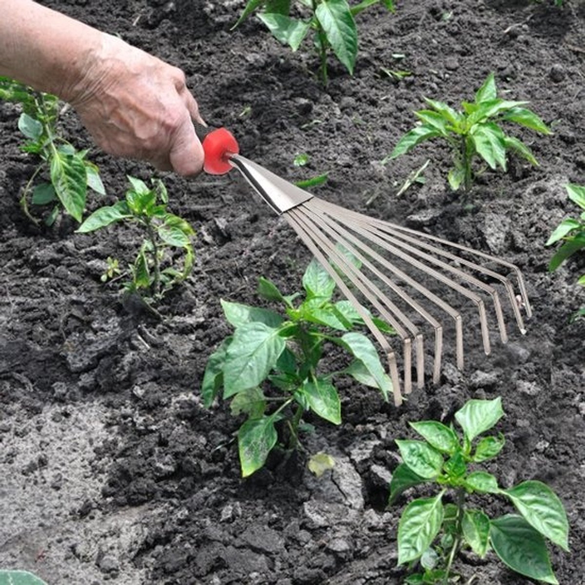 Tuinhandhark - Kleine cultivator - Voor grondbewerking - Ergonomisch handvat - 37 cm lang - Zwart