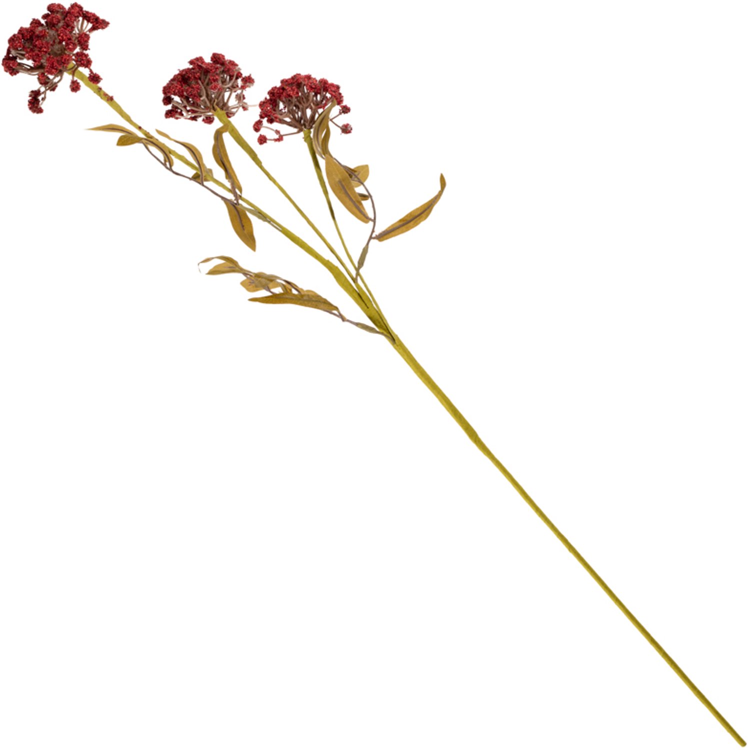 Veldboeket skimmia 80cm rood