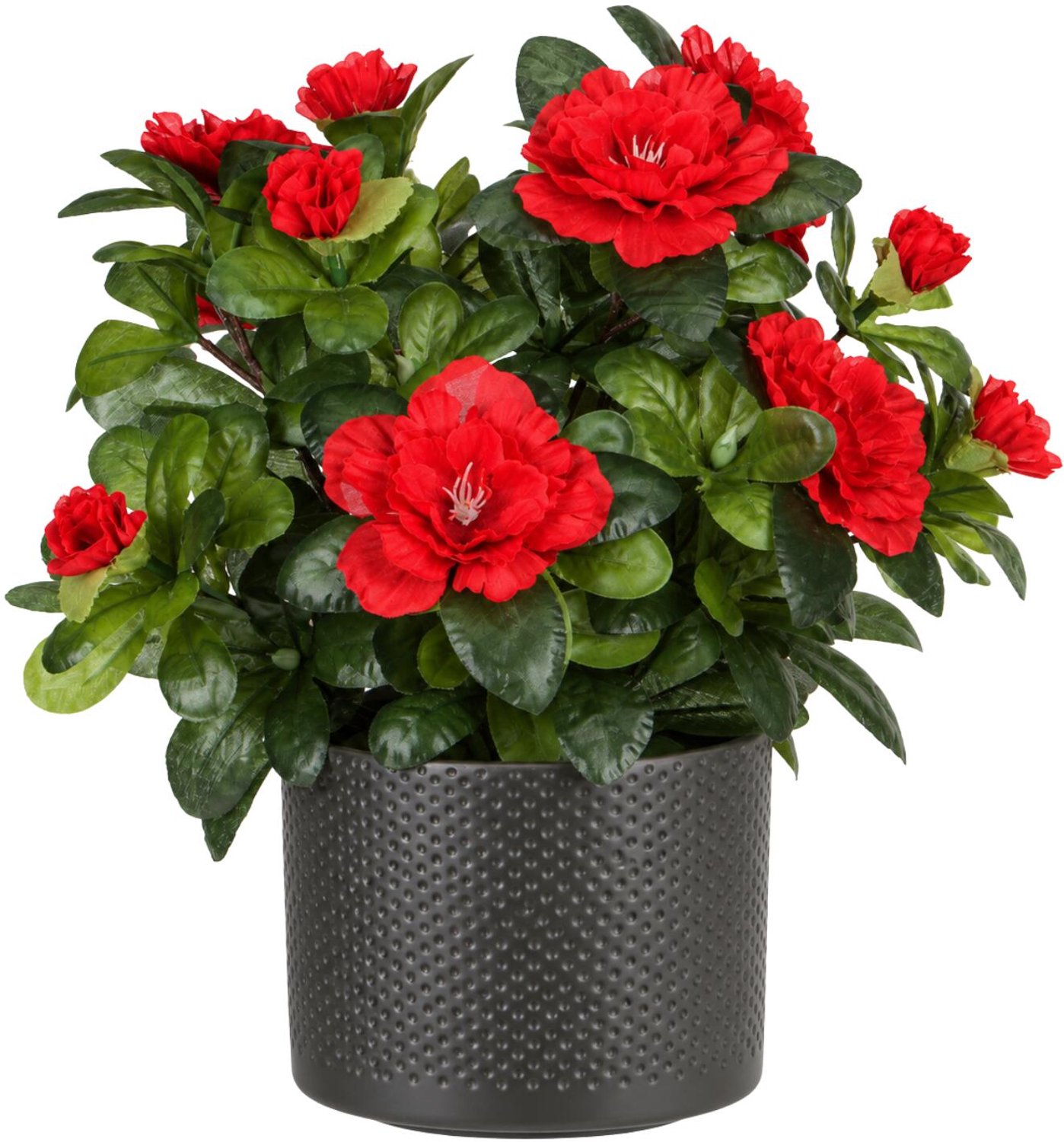 Mica Decorations Kunstplant - Azalea rood - H27 cm - in antraciet bloempot - keramiek - complete set van pot en plant - decoratie stuk