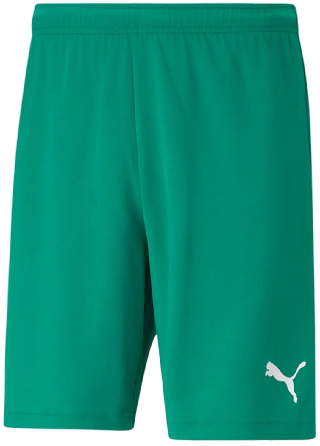 Short Puma teamRISE Groen