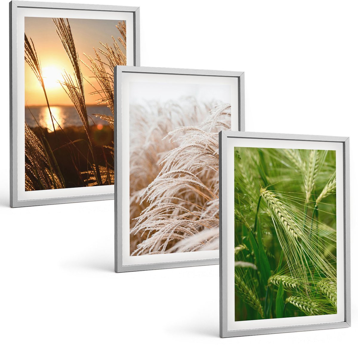 Coloray 3-Delige Schilderij Set - Verschillende Soorten Grassen, Kleurrijke Natuur - 40 x 60 cm - Wanddecoratie - Muurdecoratie - Woonkamer Zilveren lijst
