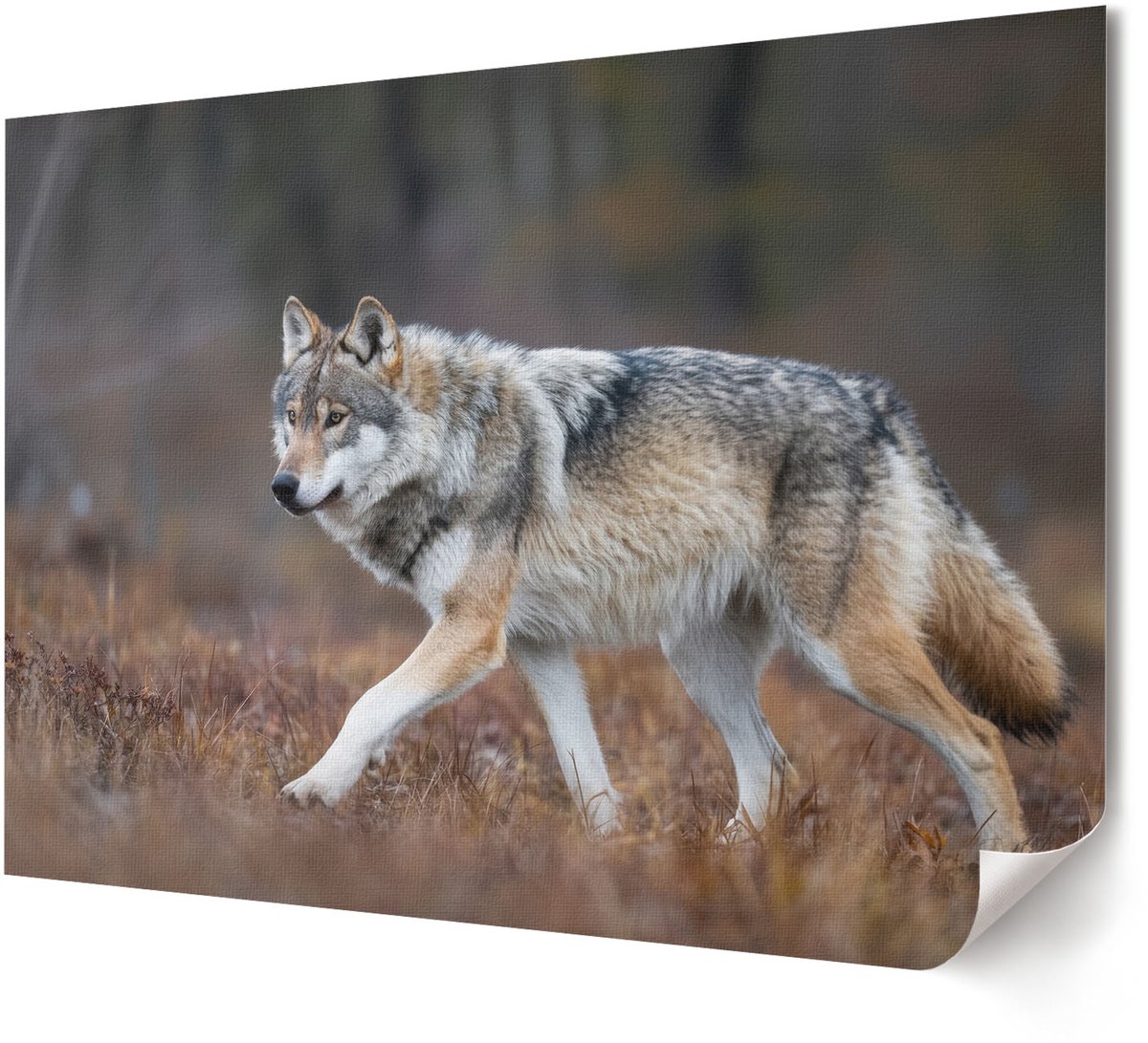 Coloray Polycanvas Wandposter - Kleurkanaal, Illustratie - A4 - Groen Decoratie - Rechthoek - Wandkunstwerk - Woonkamer, Slaapkamer, Kantoor - Kinder