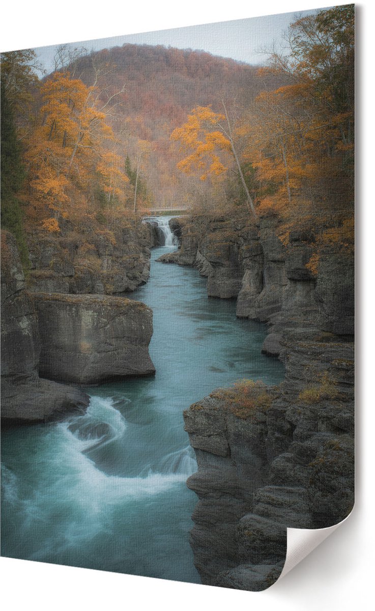 Coloray Polycanvas Wandposter - Vogelportret, Fotografie - A3 - Zwart-wit Motief - Rechthoek - Wandkunstwerk - Woonkamer, Slaapkamer, Kantoor - Klassiek