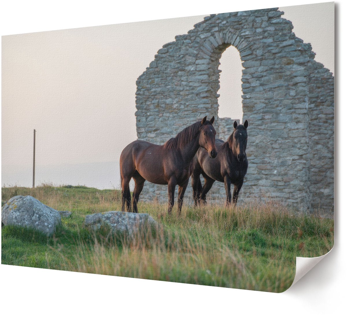 Coloray Polycanvas Wandposter - Zonsondergang, Fotografie - A4 - Oranje Illustratie - Rechthoek - Canvasposter - Woonkamer, Slaapkamer, Kantoor - Modern