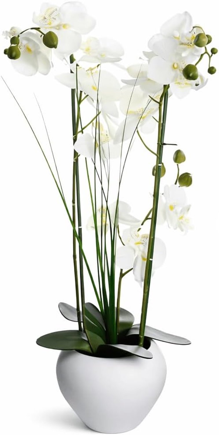 Kunstorchidee in Witte Keramische Vaas – 53 cm Realistische Nep Orchidee Plant – Onderhoudsvrije Kunstplant met Witte Bloemen & Groene Bladeren – Decoratieve Orchidee voor Woonkamer – Wit
