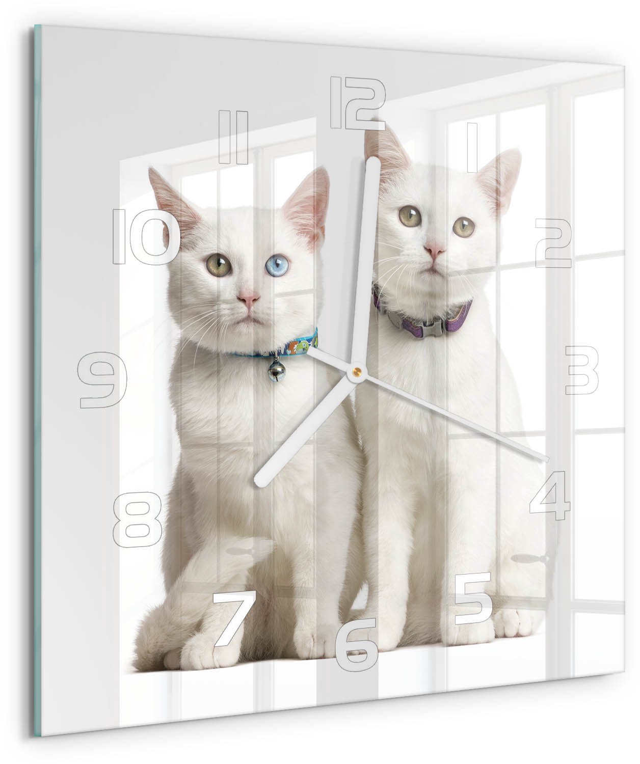 Tulup Wandklok - Witte katten Gekleurde Glazen Klok - 30x30 cm - Wit Glazen Klok Met Print - Witte handen - Vierkante Klok - Moderne Wandklok Glas - Wandklok Glas Decoratie