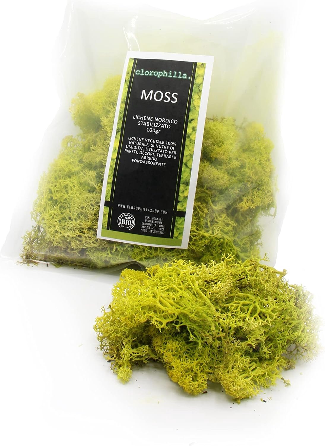 Moss Scandinavisch Mos - Gevuld met natuurlijke lichen - Kleur limoen groen - Perfect voor decoraties - ShopVlot