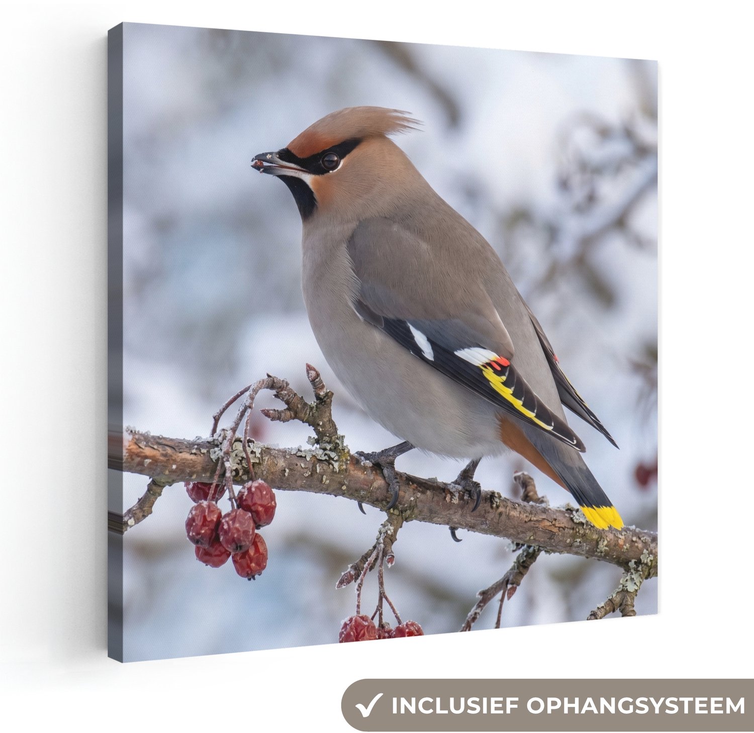 Canvas schilderij 20x20 cm - Exclusieve wanddecoratie Pestvogel - Bessen - Winter - Natuur - Muurdecoratie woonkamer - Slaapkamer decoratie - Kamer accessoires - Schilderijen op canvas