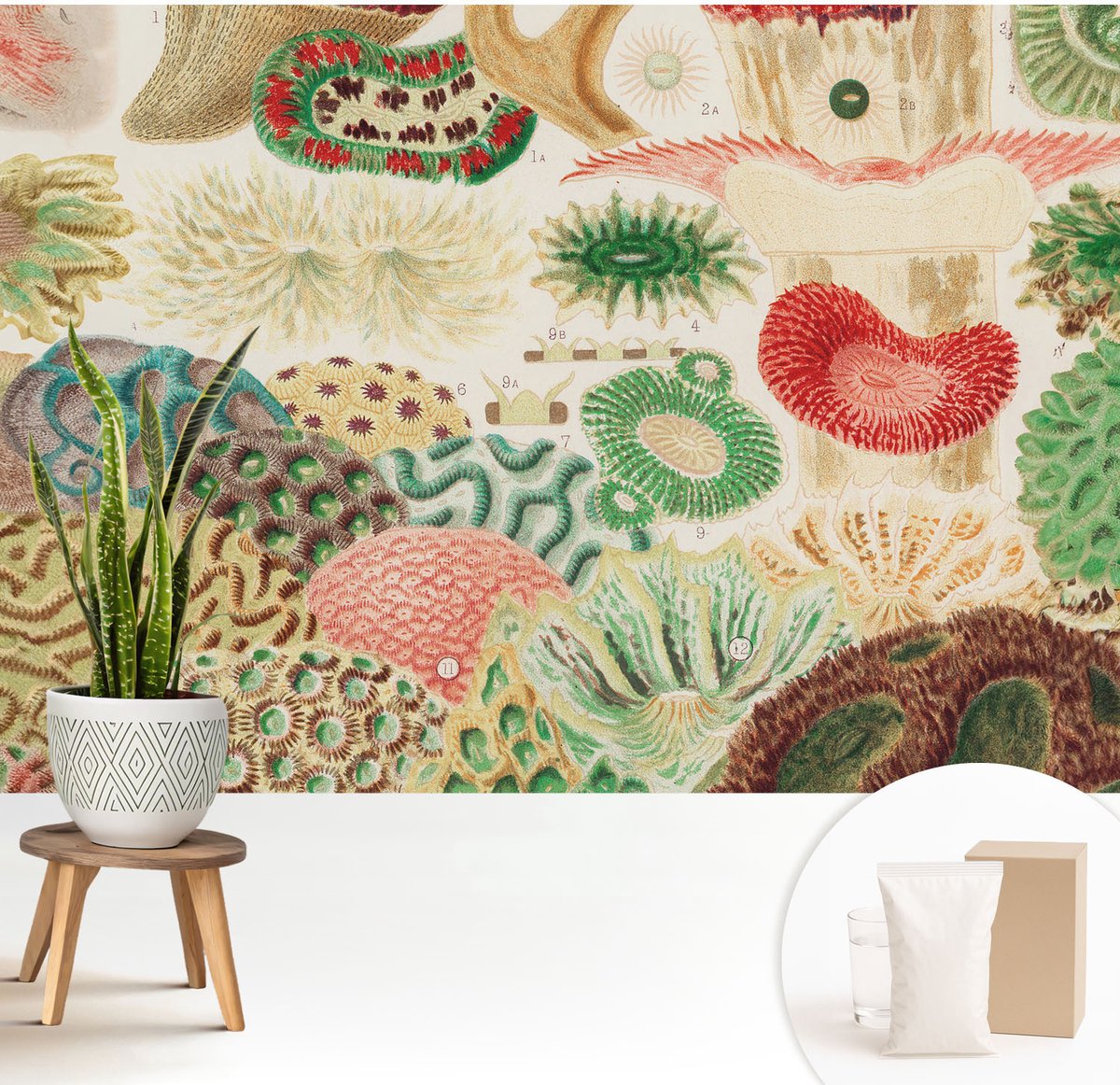 Wallfluent Fotobehang - Groente Vliesbehang - 208x146 cm - Organische Vormen Fotobehang Vlies - Hal behang Deel - Muurschildering - Woonkamer behang
