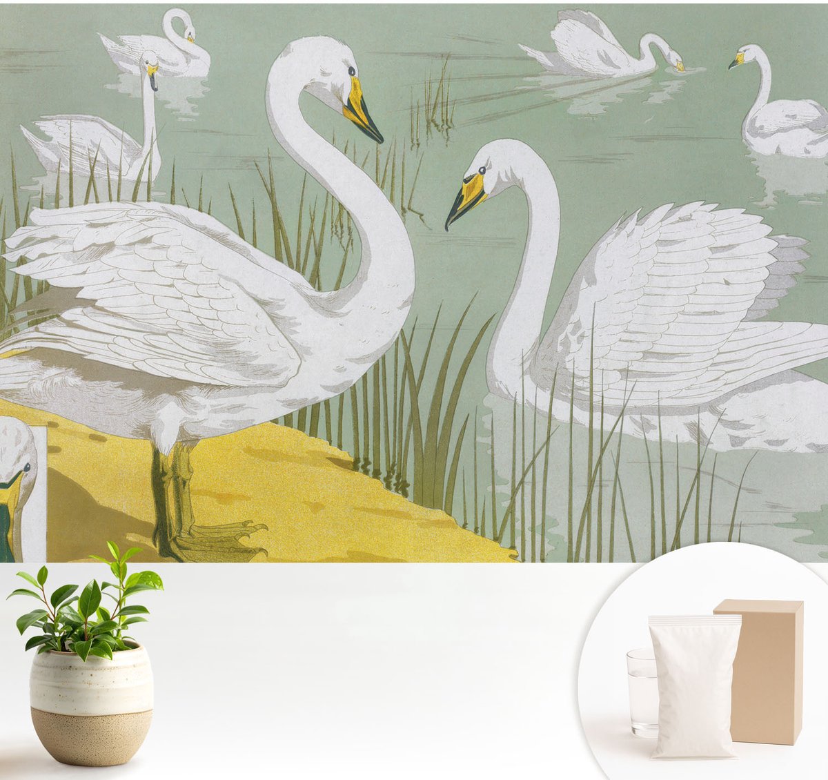 Wallfluent Fotobehang - Wit Vliesbehang - 104x70 cm - Zwanenmeer Muurschildering - Gang behang Dieren - Fotobehang Vlies - Slaapkamer behang