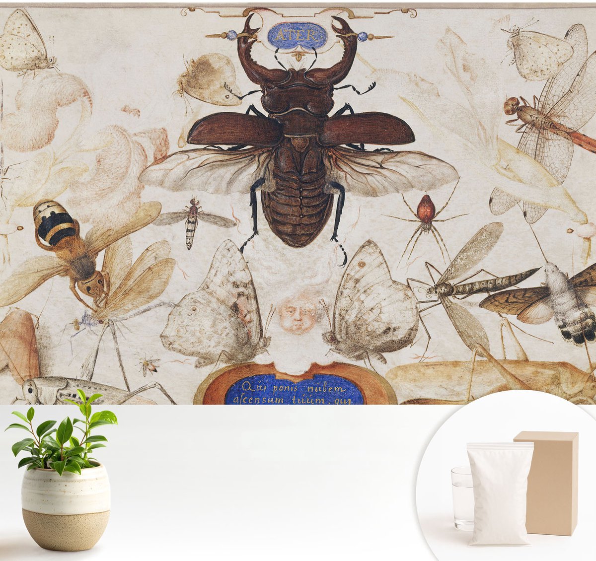 Wallfluent Fotobehang - Wit Vliesbehang - 104x70 cm - Natuurlijke Harmonie Muurschildering - Slaapkamer behang Ander - Fotobehang Vlies - Gang behang