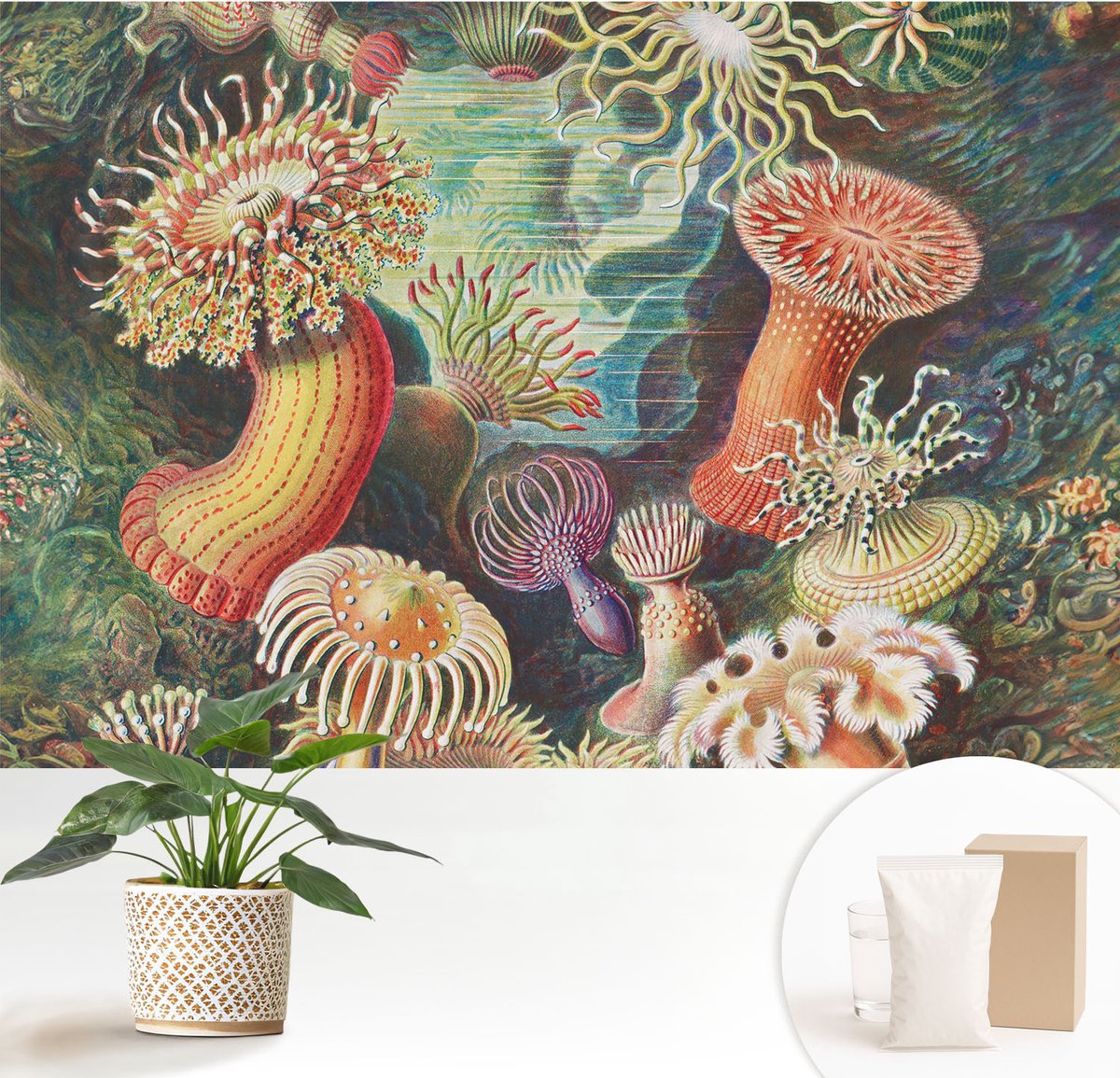 Wallfluent Fotobehang - Groente Vliesbehang - 152x104 cm - Sierlijke Zeeanemonen Fotobehang Vlies - Woonkamer behang Deel - Muurschildering - Woonkamer behang