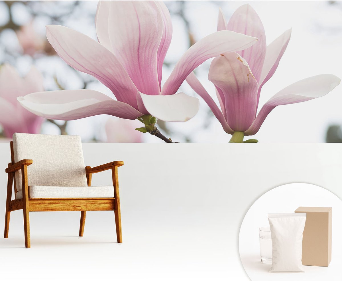 Wallfluent Fotobehang - Roze Vliesbehang - 250x104 cm - Magnolia Bloemen Fotobehang Vlies - Woonkamer behang Bloemen En Planten - Muurschildering - Hal behang