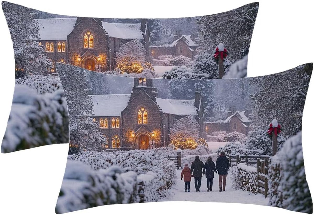 30 x 50 cm, 2 stuks, wit, kussensloop, wintermotief, fluwelen kussensloop met onzichtbare ritssluiting, kussensloop voor huisdecoratie, woonkamer, cadeau, dames, model933
