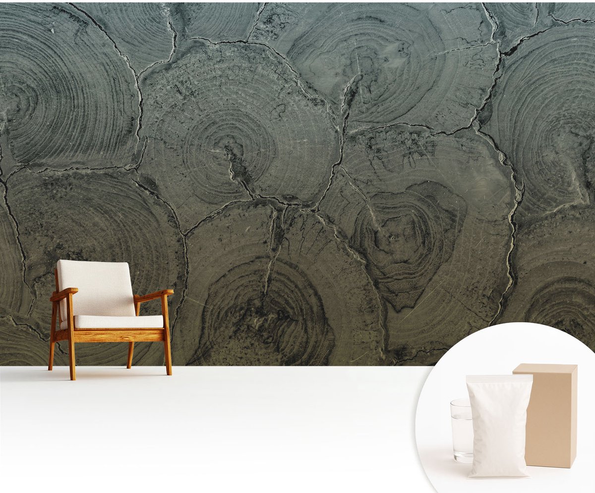 Wallfluent Fotobehang - Grijs Vliesbehang - 416x254 cm - Houten Ringen Muurschildering - Slaapkamer behang Texturen - Fotobehang Vlies - Slaapkamer behang