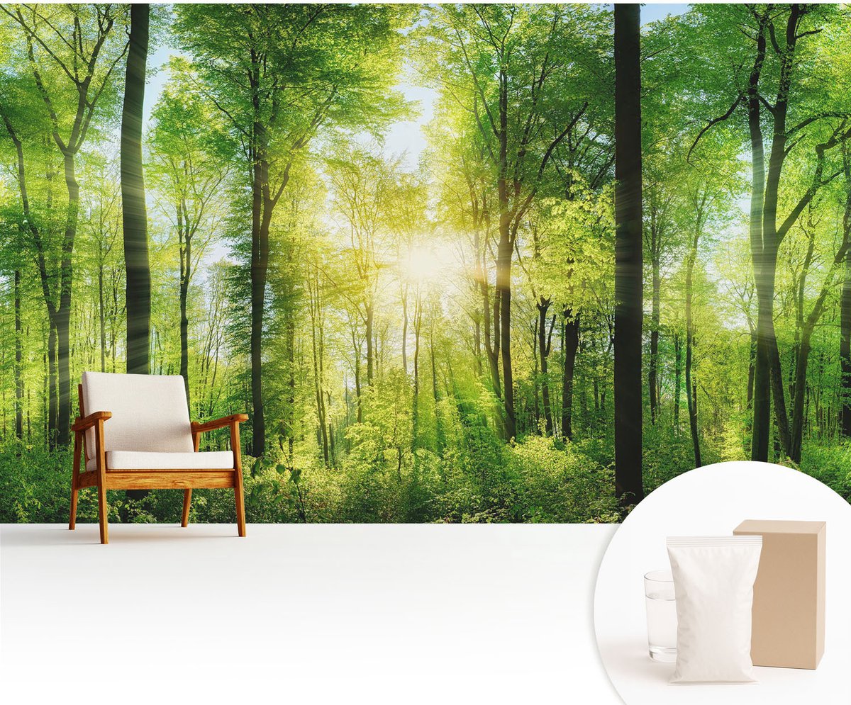 Wallfluent Fotobehang - Groente Vliesbehang - 416x254 cm - Bosharmonie Fotobehang Vlies - Hal behang Landschappen - Muurschildering - Woonkamer behang