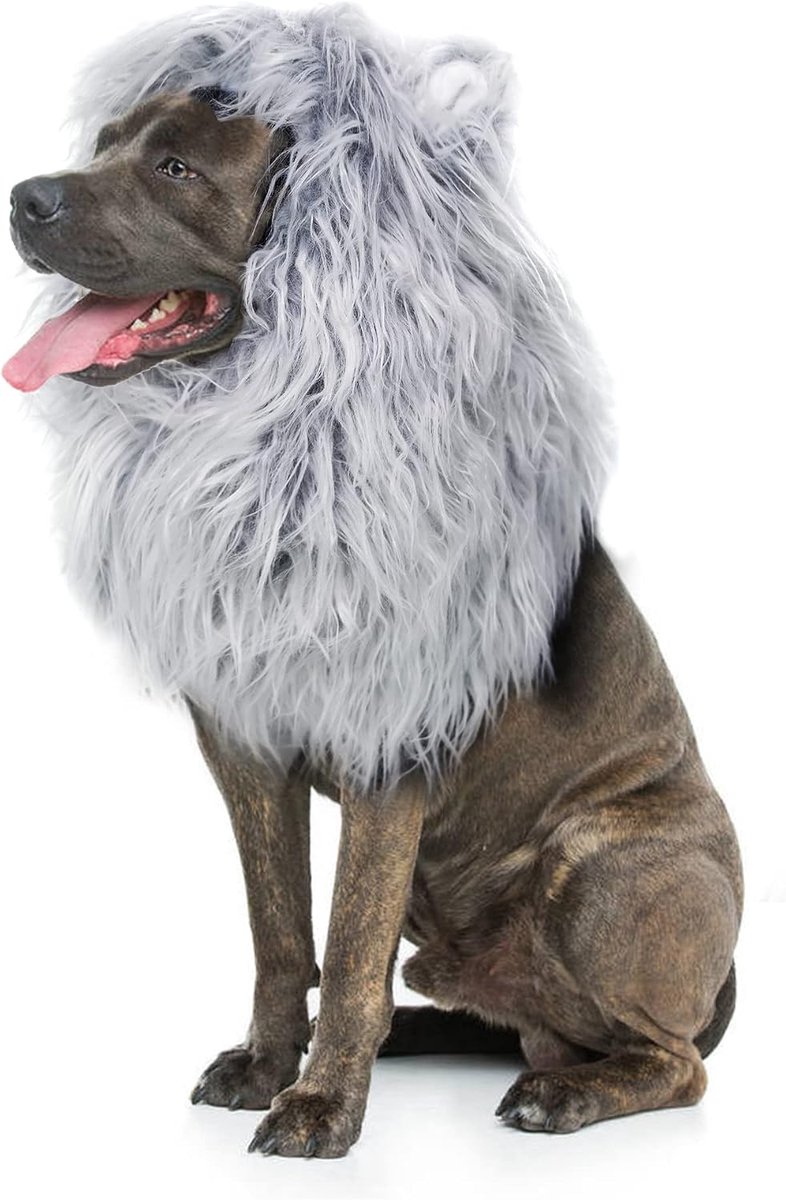 Leeuwenmanenpruik voor honden met oren, grappige huisdierkostuums voor Halloween Kerstmis
