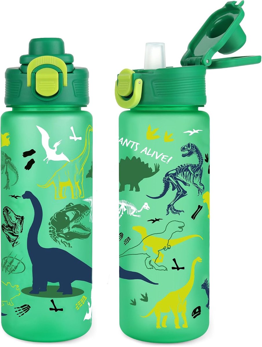 Waterfles voor kinderen met rietje, 650 ml, groen, dinosaurus
