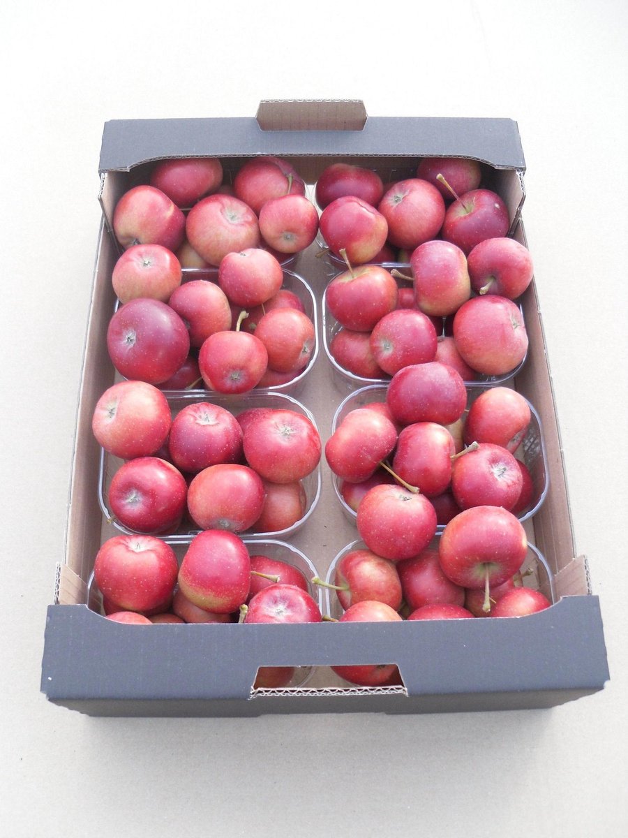 8x Sf appel rood