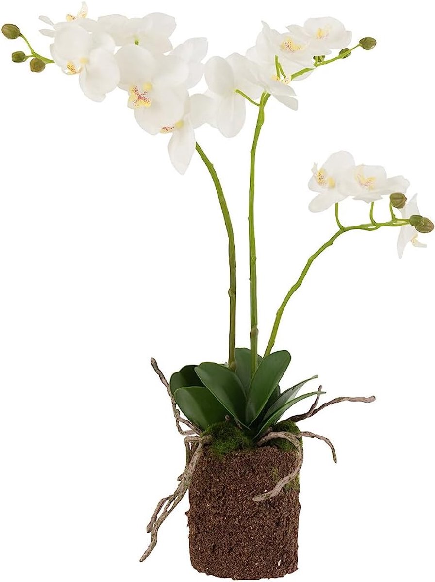 Orchidee In Aarde Plastiek Wit/Groen Medium