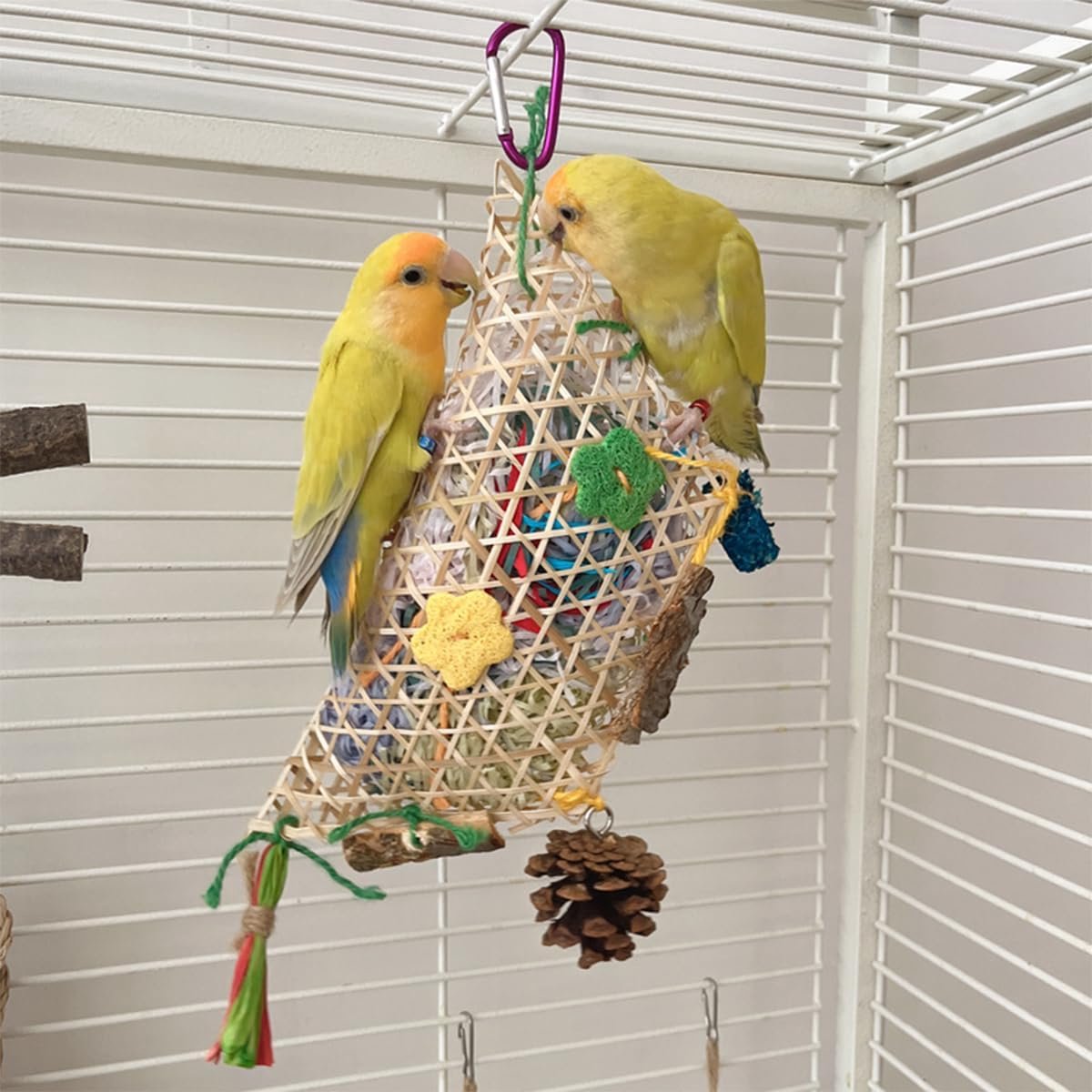 Speelgoed, opknoping foerageren shredder speelgoed voor kleine middelgrote kleine vogel Conure valkparkiet papegaai dwergpapegaai parkiet
