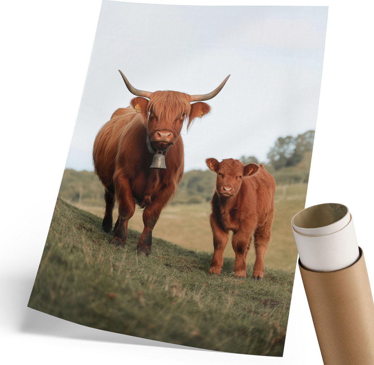 Coloray Polycanvas Wandposter - Stier En Kalf, Fotografie - 210 x 297 mm - Groen Kunst - Rechthoek - Canvasposter - Woonkamer, Slaapkamer, Kantoor - Rustiek
