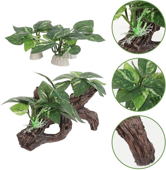 4 Stuks Delige Aquarium Driftwood Decor met Schuilgrot Bladeren Natuurlijke Vis Schuilplaats voor Garnalen Betta Duurzaam Geschikt voor Diverse Visaquaria — afbeelding 4