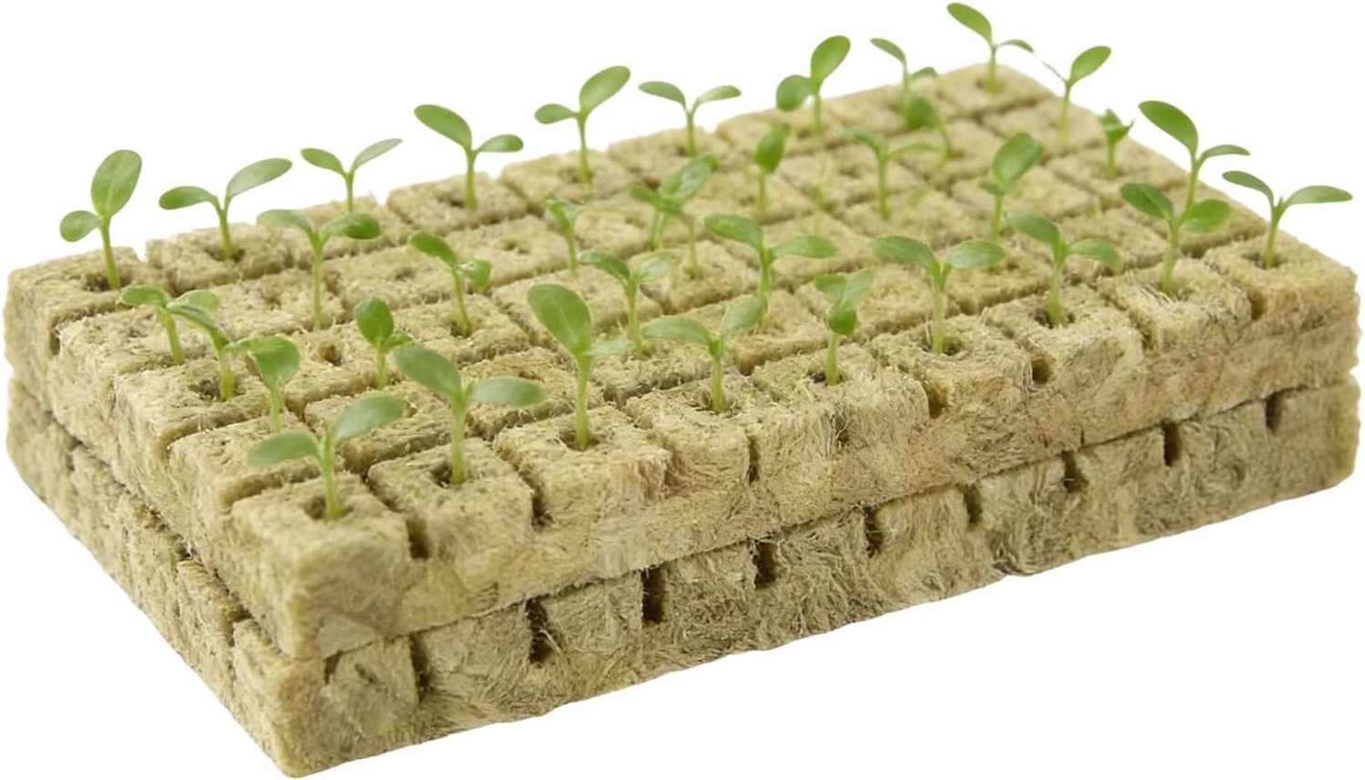 Hydroponische steenwol | Grondloze groeipluggen | 100 stuks planten stekken steenwol blokjes - Geschikt voor Binnenshuis Kassen Tuinieren, Ontkieming, Vermeerdering, Zaailingen en Wortelvorming