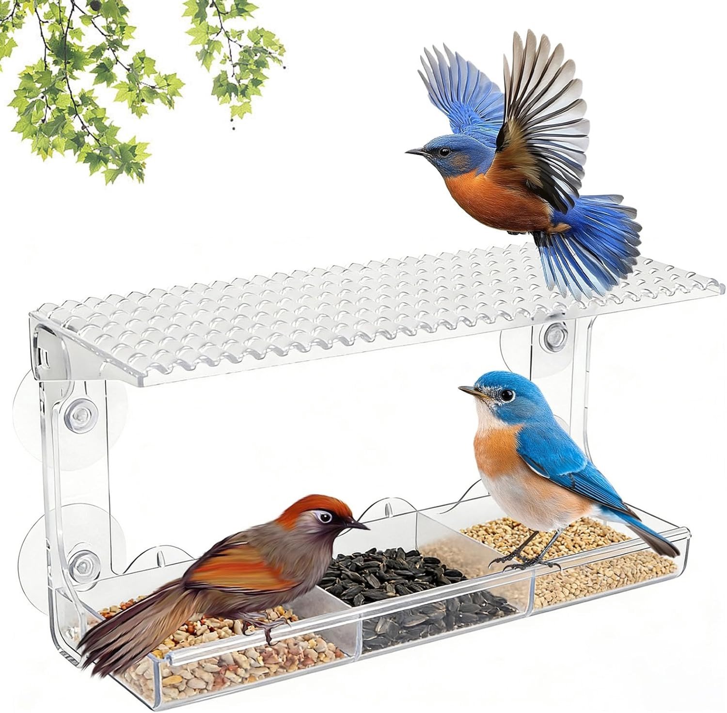 Vogelvoederhuisje - Transparant - Met Zuignappen - Acryl - Voor Wilde Vogels