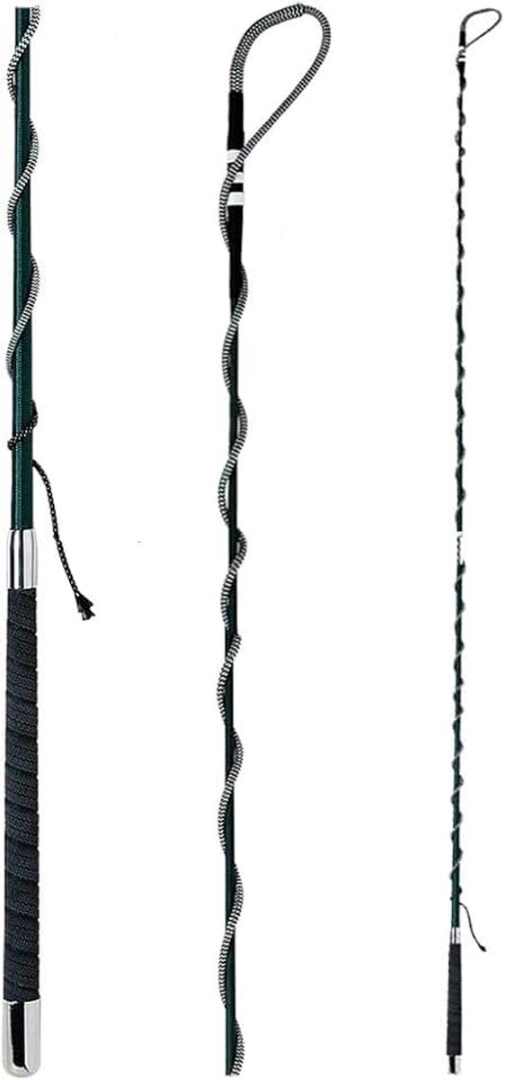 - two-piece lunging whip