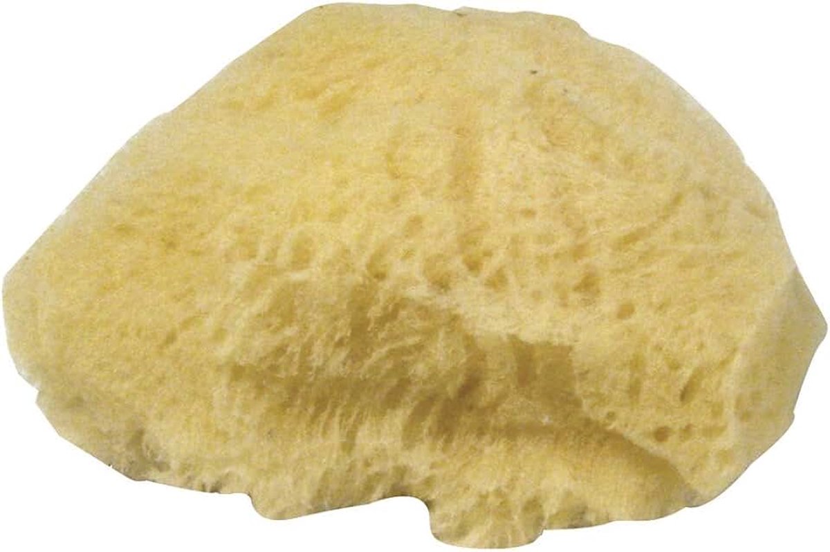 Set natuursponzen gras, zak 3 stuks, 100% natuurlijke spons, verschillende maten 6-7,5 cm, fijne en grote poriën, zeer zacht, ideaal voor het deppen van verf