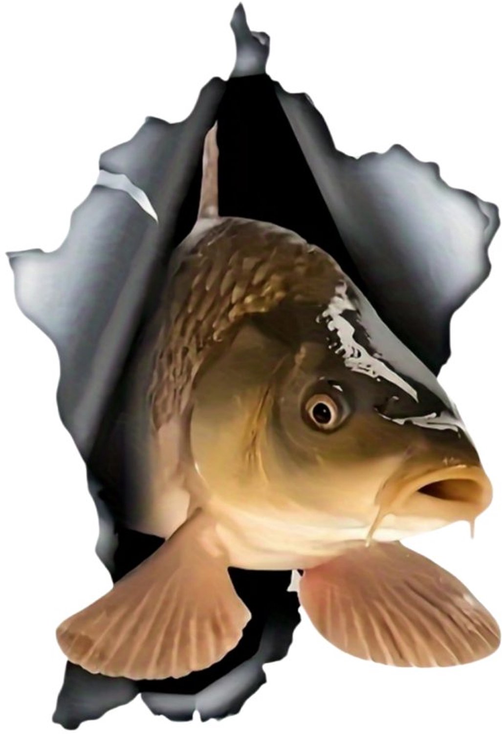 Karpervissen Sticker 15,5 cm met Metallic Effect