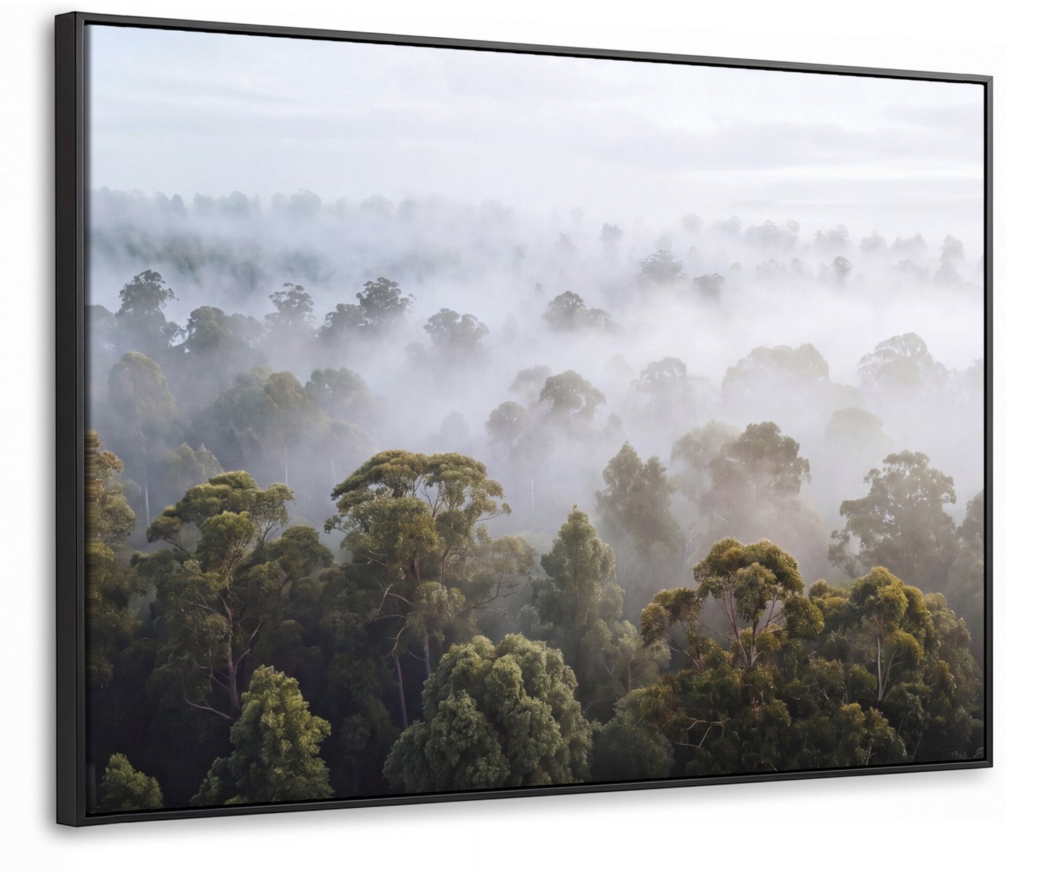 Canvas Schilderij met Baklijst - Natuur - Mist - Bos - Ochtend - Goud