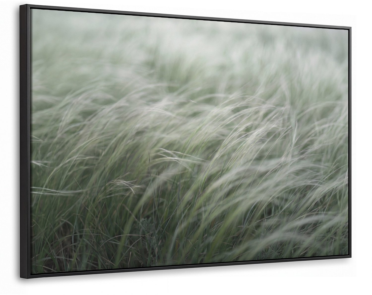 Canvas Schilderij met Baklijst - Gras - Wazig - Natuur - Groen - Zacht