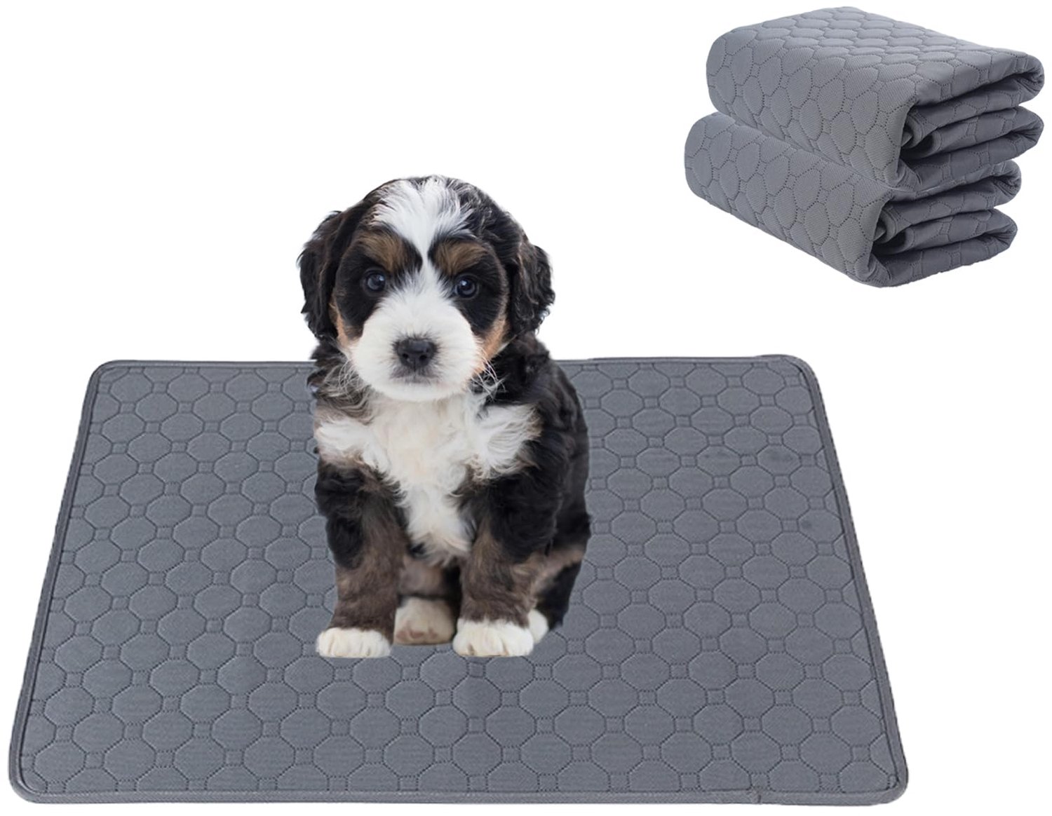 Wasbare Hondentrainingsmat - Set van 2 - Waterdicht en Sneldrogend